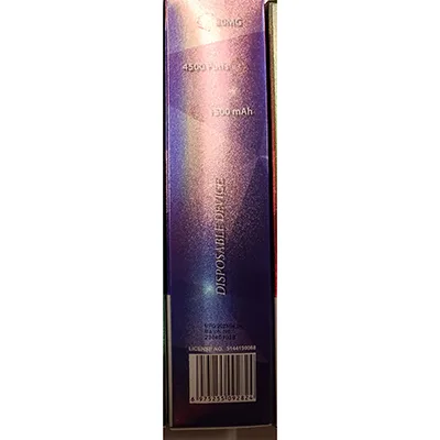 Disposable electronic cigarette