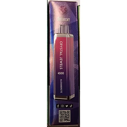 Disposable electronic cigarette