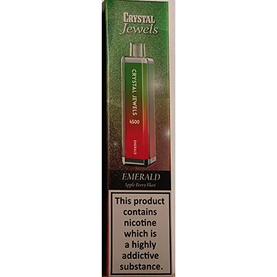 Disposable electronic cigarette