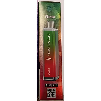 Disposable electronic cigarette