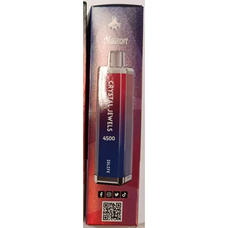Disposable electronic cigarette