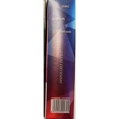 Disposable electronic cigarette