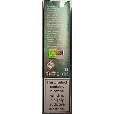 Disposable electronic cigarette