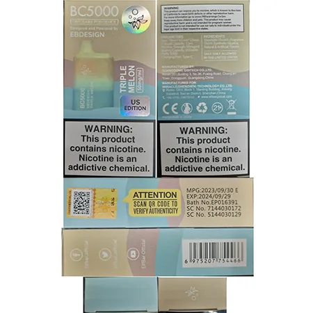 Disposable electronic cigarette