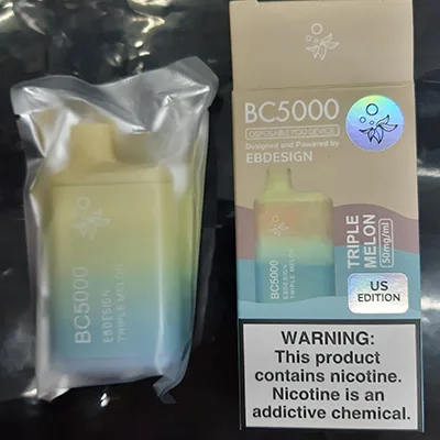 Disposable electronic cigarette