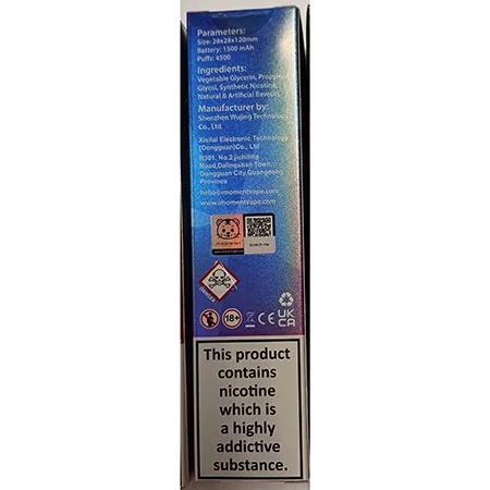 Disposable electronic cigarette