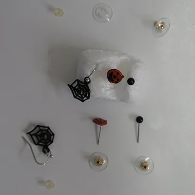 Earrings