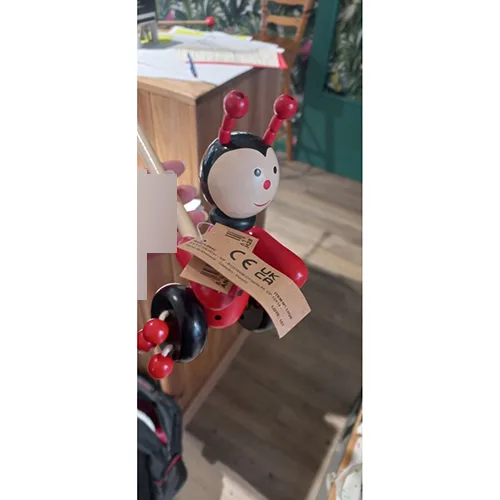 Push along toy