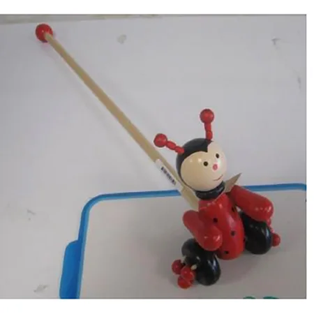 Push along toy