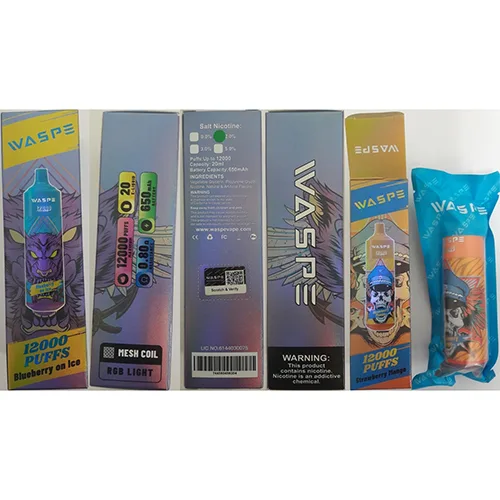Disposable electronic cigarette