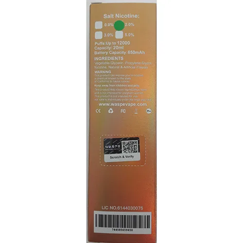 Disposable electronic cigarette