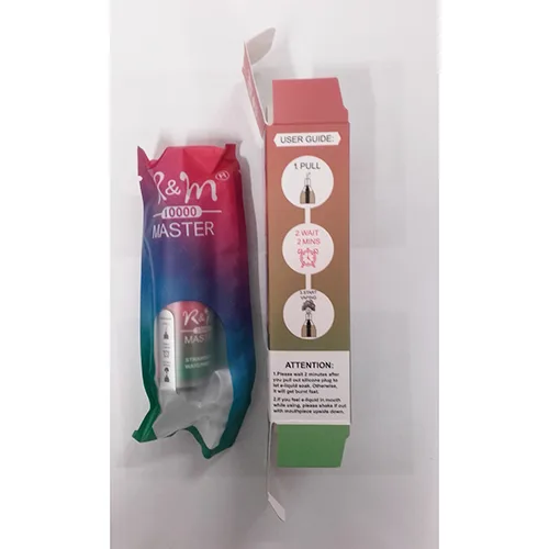 Disposable electronic cigarette