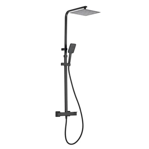 Shower column