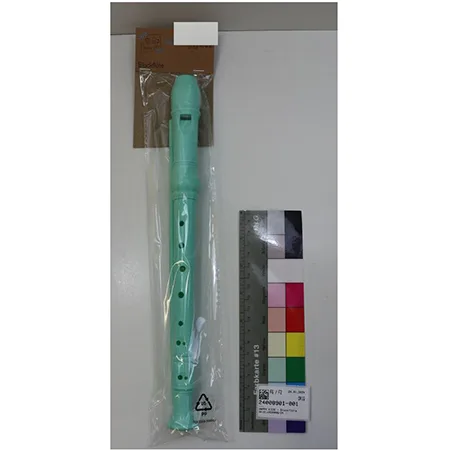 Toy recorder