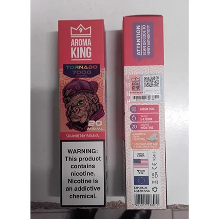 Disposable electronic cigarette