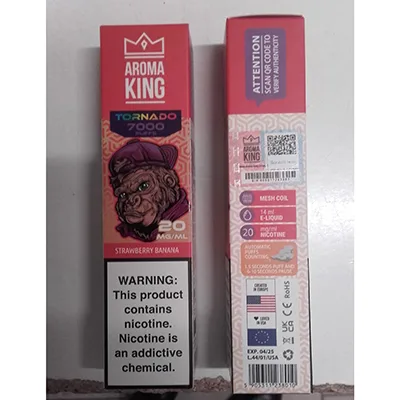 Disposable electronic cigarette