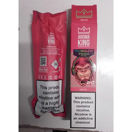 Disposable electronic cigarette