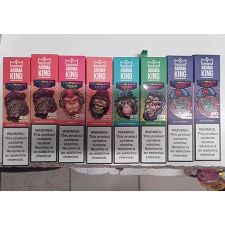 Disposable electronic cigarette