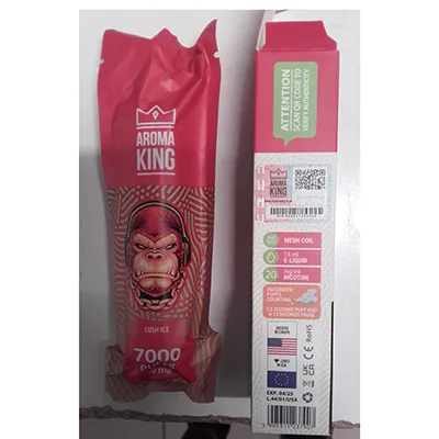 Disposable electronic cigarette