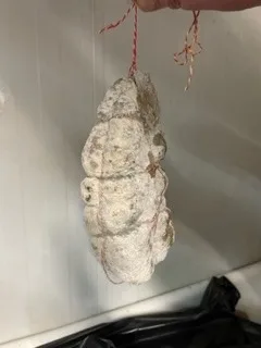 Saucisson sec