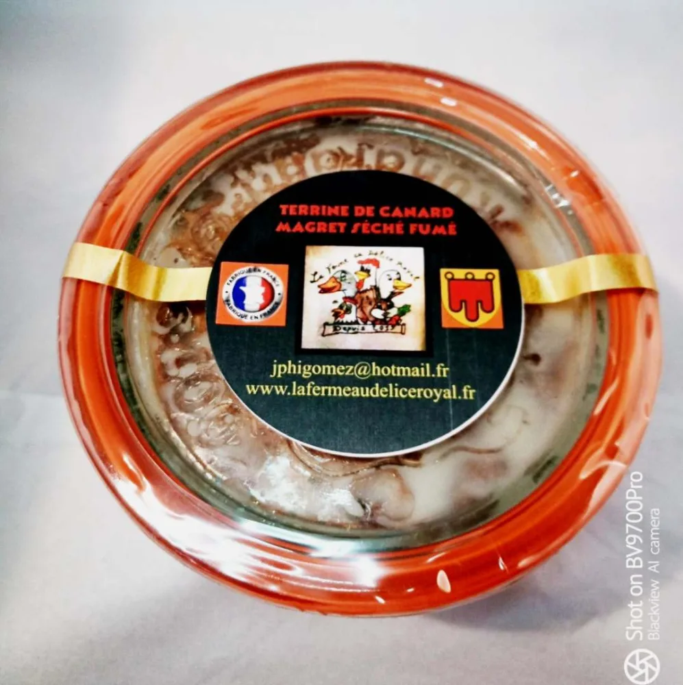 Terrine de canard différentes variétés (suite)