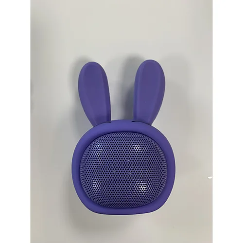 Wireless speaker