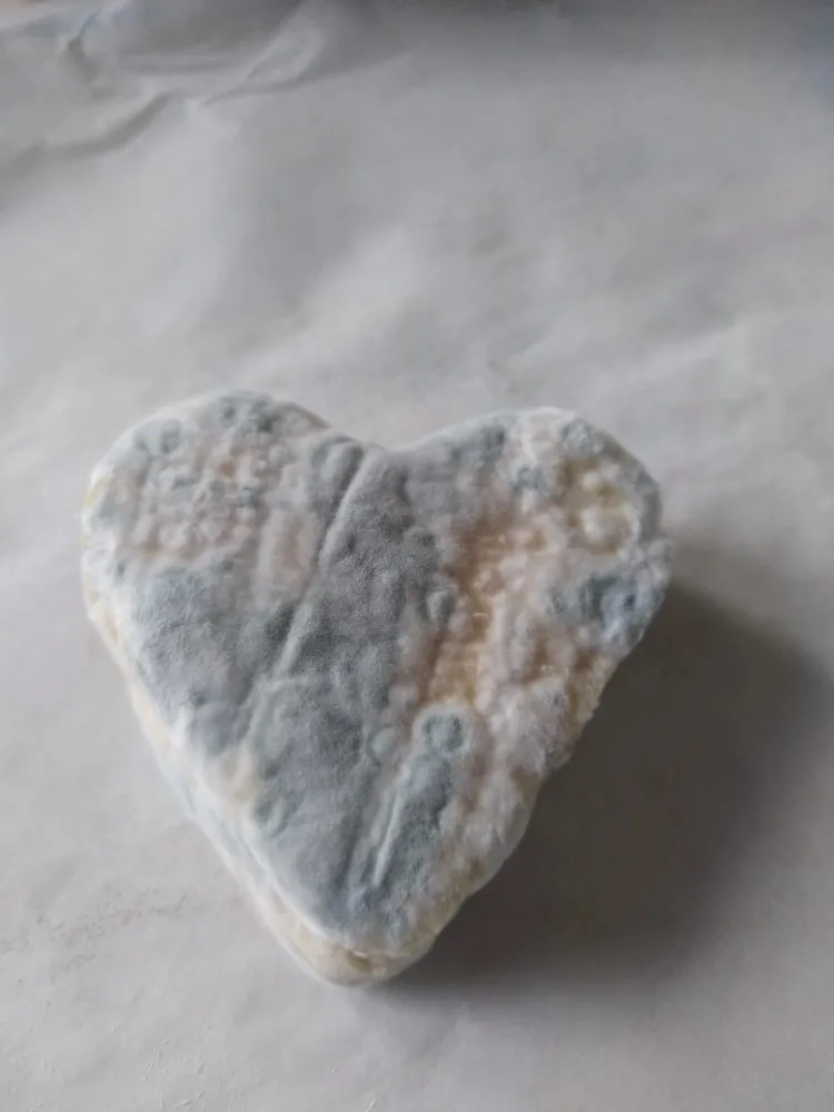 Fromage de chèvre le gargilesse