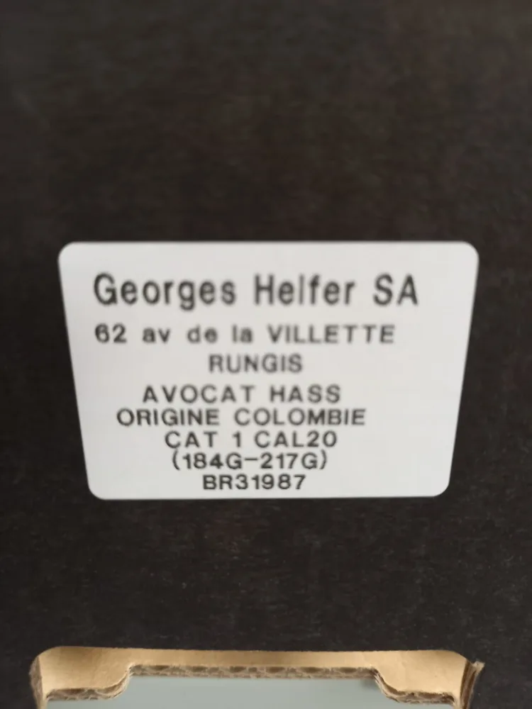 Avocat hass colombie br31987