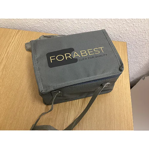 Electric lunch box