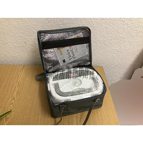 Electric lunch box
