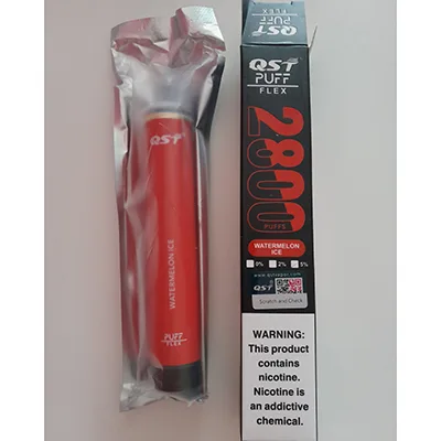 Disposable electronic cigarette