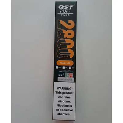 Disposable electronic cigarette