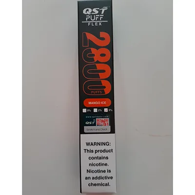 Disposable electronic cigarette
