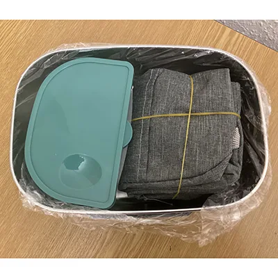 Electric lunch box