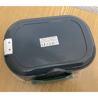 Electric lunch box