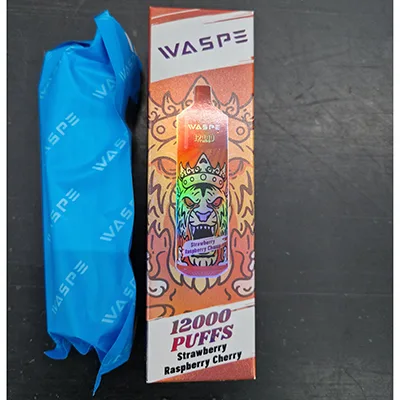Disposable electronic cigarette