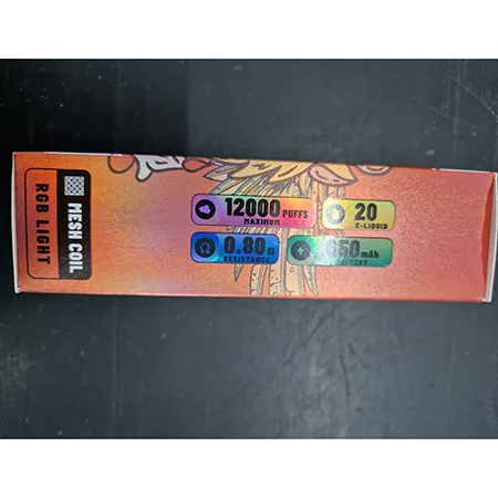Disposable electronic cigarette