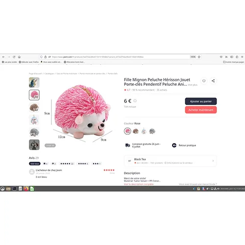 Keyring with soft toy