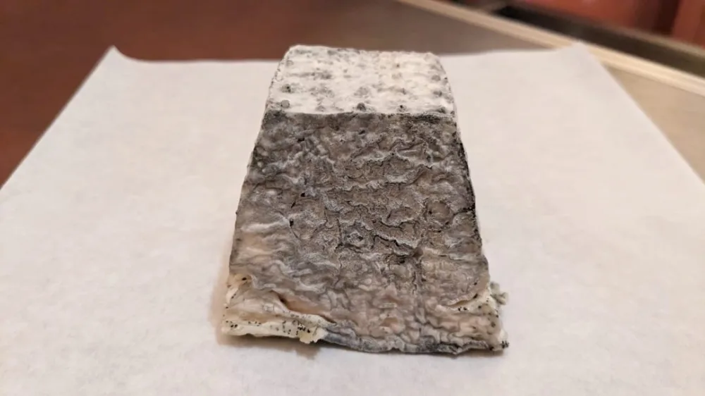 Fromage blanc, pyramides cendrées, tartinable