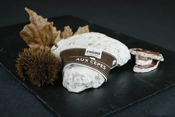 Saucisson sec oignon/ rugby/ pont l évêque /camembert/ livarot/neufchâtel/ vin rouge échalotte/ cèpes/ normandie/ ail/ échalotte / mimolette