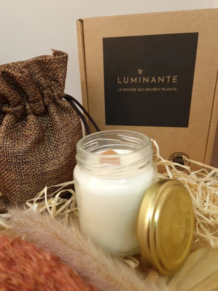 Bougie parfumée