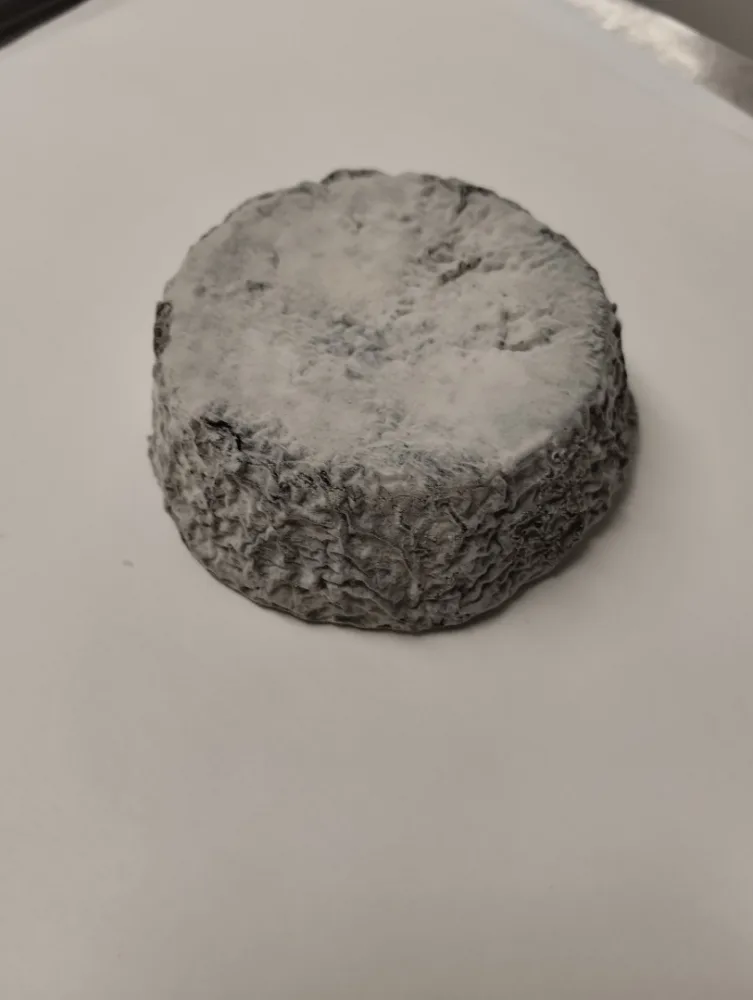 Fromage au lait cru de chèvre