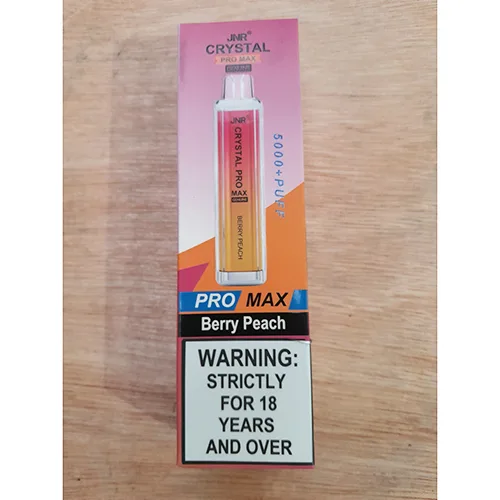 Disposable electronic cigarette