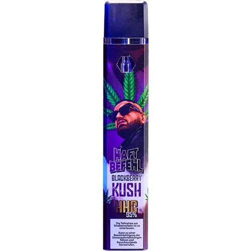 Disposable electronic cigarette
