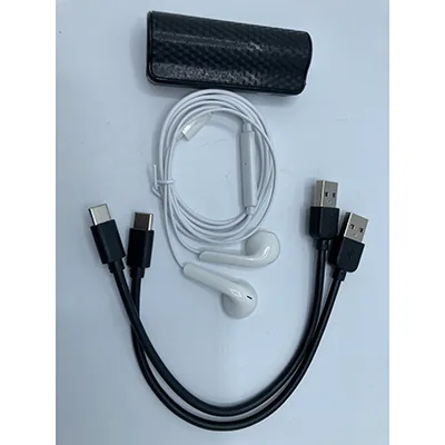 Digital voice recorder