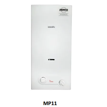 Gas water heater