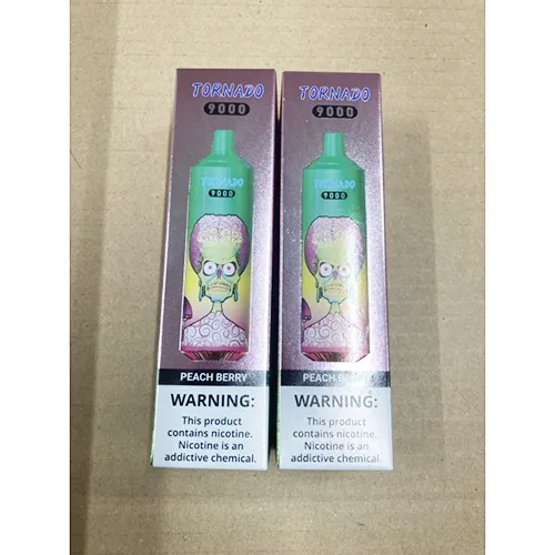 Disposable electronic cigarette