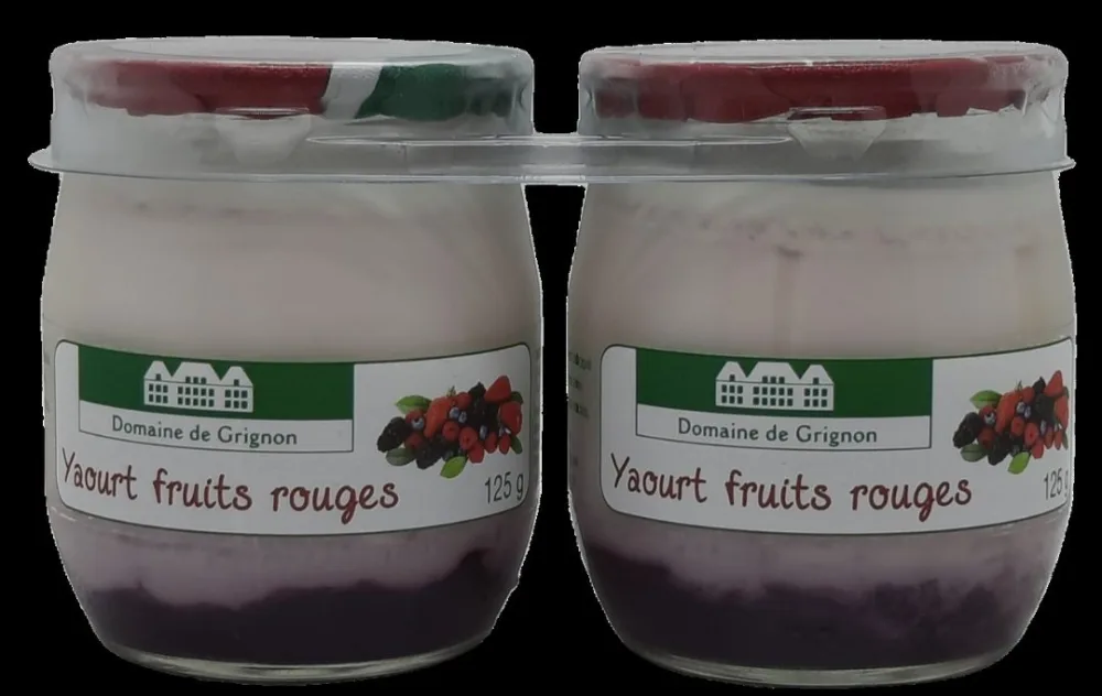Yaourt fruits rouges