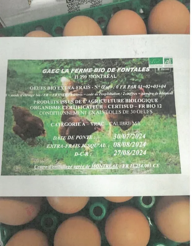 Oeufs bio