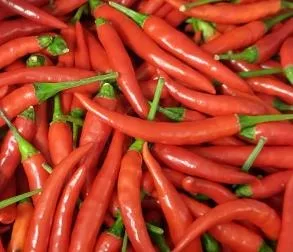 Mini piment rouge thaï